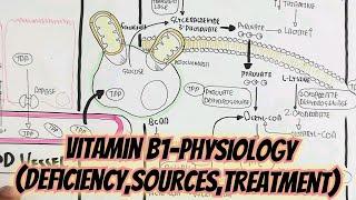 Vitamin B1(Thiamine)Physiology @umerfarooqbiology7083