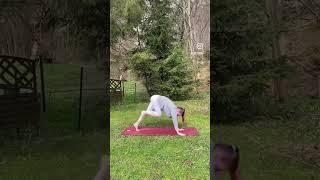 New beginnings, every day | KatYoga