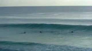 gold coast surfing