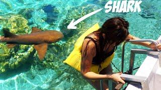 I Swam with Sharks in Belize!