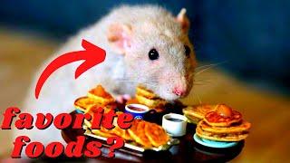 10 Foods That Rats LOVE & Go Crazy For: Must-try Treats!