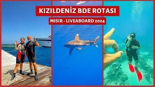 Mısır'da Dalış - Kızıldeniz BDE Rotası - Liveaboard 2024