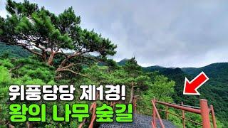 Cool Creek Trekking Near Seoul, South Korea | Perfect Day Trip by Public Transport in Summer