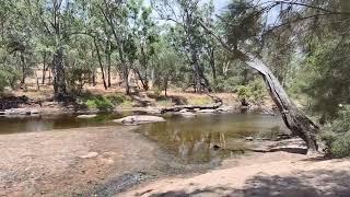 Toodyay Cobbler Pool Free Camp Near Perth Dog Friendly 66km From Midland Lovely Setting on the River