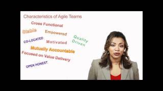 Agile Teams - Part 1 | Team Characteristics