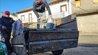 Llevamos una carga de olivas al molino y me intoxico