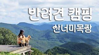 하늘 가까이, 고지대 산너미목장에서의 특별한 캠핑 / 반려견 동반 캠핑 / 마운틴뷰