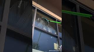 Storefront window cleaning with the Moerman excelerator and Ettore brass channel