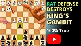  Crush the King's Gambit Using the Rat Defense Quickly + Traps