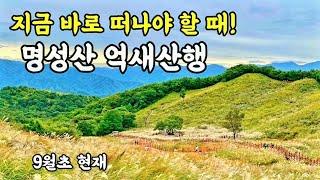 [명성산억새산행] 전세산행하고 왔어요! 명성산 억새산행 대중교통, 9월현재명성산억새,