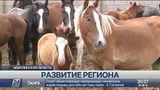 В Акмолинской области растёт производство сельхозпродукции