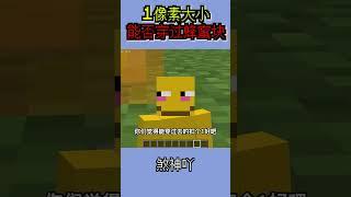 缩小100倍，能穿过蜂蜜块吗？快进来看看！ #我的世界