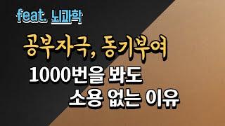 공부자극, 동기부여 영상을 봐도 잘 안되는 이유 ㅣ뇌과학, 공부, 자기계발