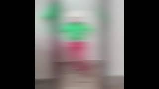 EL MEXICANO JOSE ROBLES EL GUACHO