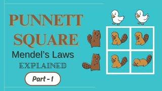 Punnett Square & Mendel’s Laws Explained | GED Science & IGCSE Biology Made Easy (Part 1) |Genetics