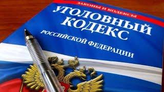 Уголовный Кодекс Российской Федерации. УК РФ. Аудиокнига