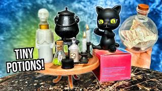 MAGIC POTION MINIVERSE! (Harry Potter Pinhole Hack!)