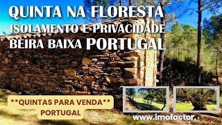 Farm in the Forest | Isolation and Privacy | Castelo Branco - Portugal | €48000