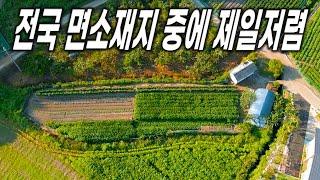 전국 어디를 가도 이런가격으로 구경도 못합니다 - 충주시 No.1 토지, 전원주택 협동부동산, 땅보스TV