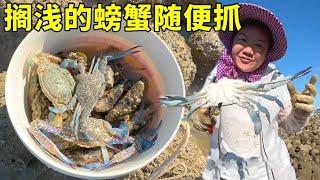 Daqingkou on unpopulated island is everywhere  stranded crabs catch casually  lucky day