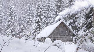 extreme cold winter night in abandoned hunters log cabin