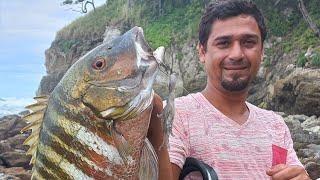 COMO SACAR Pargos desde las ROCAS Pesca de ORILLA