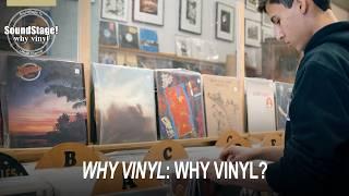 WHY Music Enthusiasts Still Love VINYL Records!