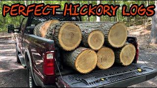 #264  Unloading Perfect Hickory Logs & Splitting Red Oak Firewood