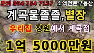 (NO.516-1) 영천땅 영천부동산  개곡물졸졸 ,별장 내집에서 바로계곡 1억5000만원  땅사모TV