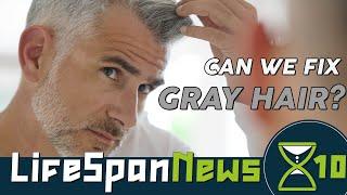 Causes and Solutions for Gray Hair | Lifespan News