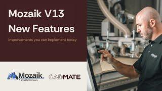 Mozaik V13 New Features