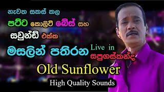 Mersalin Pathirana with *Old Sunflowers* | Live in Sapugaskanda | Re Created Quality Sounds