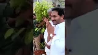 ఇదేందయ్యా ఇది.. అక్కడ ఎవరూ లేరు కదా సార్.. | Jagan Funny Video