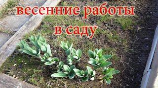 Весенние работы в саду Что делать на даче