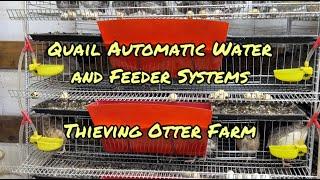 Thieving Otter Farm Automatic Waterers and No Waste Feeders