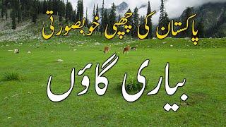 Hidden Beauty Of Pakistan | Biari Village | Travel Guide