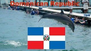 Dominican Republic Swim with Dolphins Tour, пунта кана