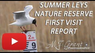 Summer Leys Nature Reserve | Wildlife Photography | First visit | Bird Photography | Canon 90D