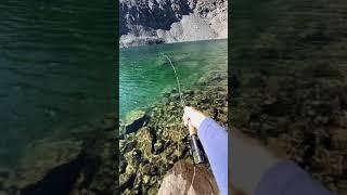 Fly fishing at 12,000 ft in an alpine lake