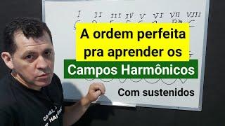 Como aprender os Campos Harmônicos na ordem certa