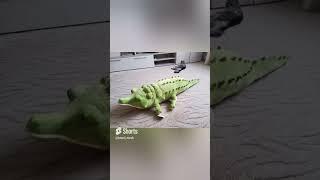 мои любимцы