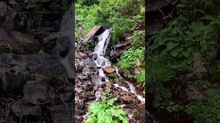 A beautiful waterfall in the Ukrainian Carpathians #nature #carpathian #relax #mountains