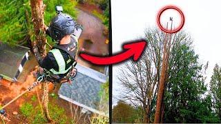 BEST Viewer Experience! Easy Mode for a Pro Tree Cutter!