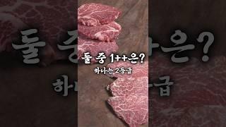 눈에 보이는 게 다가 아니었네