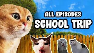 SCHOOL TRIP CAT MEME COMPILATION...