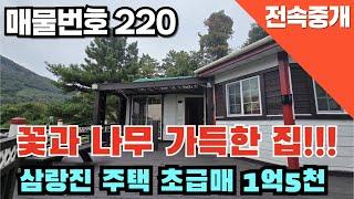 [매물번호 220] 삼랑진주택 초급매, 1억5천만, 꽃과 나무가가득한 집!!!  #밀양부동산 #밀양전원주택 #밀양촌집 #밀양산속주택 #밀양나홀로주택