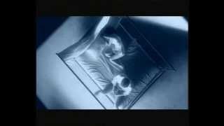 CoCo李玟 - 我依然是你的情人 (第二版) 官方MV
