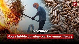 Watch | How stubble burning can be made history