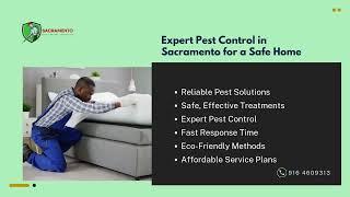 Sacramento Pest Control Associates