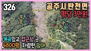 (공주부동산) / 공주시 이인면 이곡리 / 도로 잘 접한 평당 3만원 저렴한 임야 / 계곡이 있는 깨끗한 환경 / 4800평 대부분 보전관리 일부 농림지역 / 자연인 약초 농막